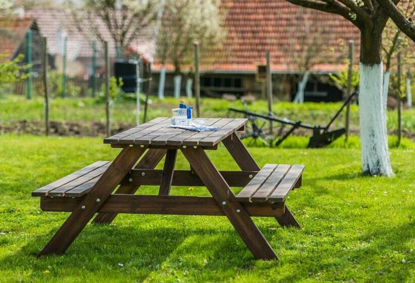 فندق صغير Penzion Berdina