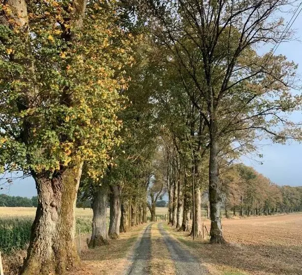 Aamiaismajoitus (B&B) Au P’tit Bonheur D’augé