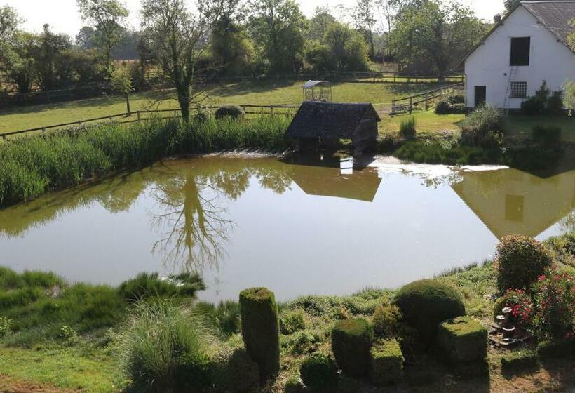 Bed and Breakfast Manoir Du Taillis