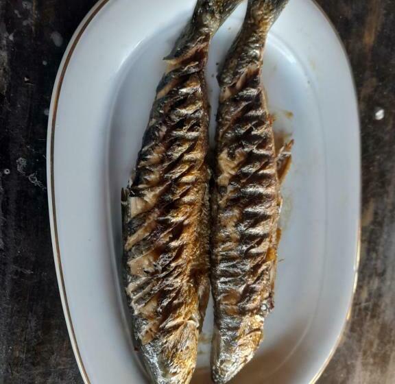 Bed and Breakfast Monte Grego