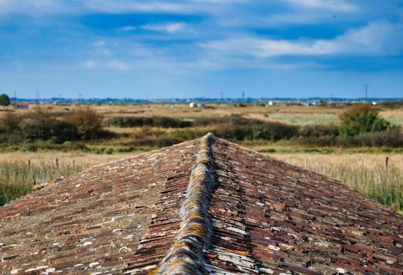 住宿加早餐 Moulin De Mauzac