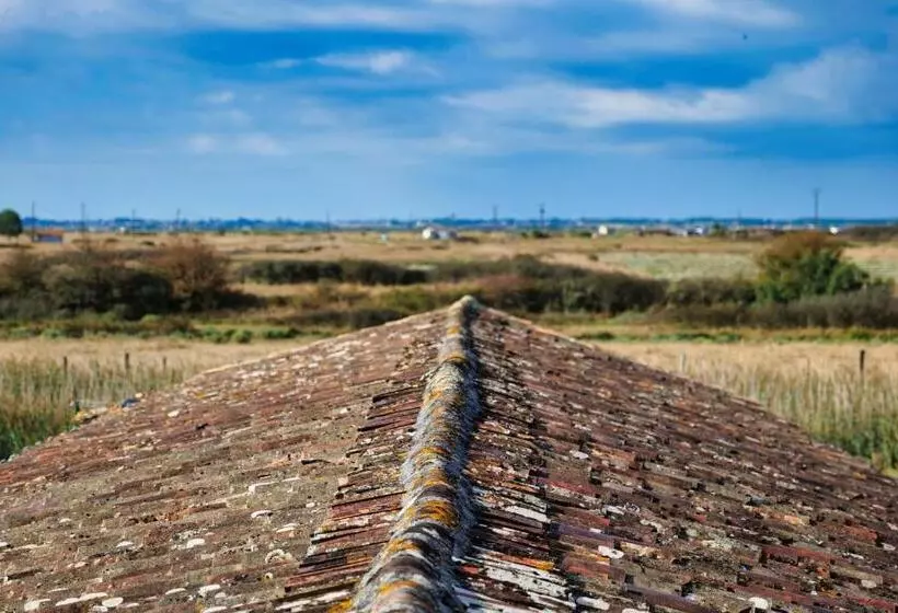 Aamiaismajoitus (B&B) Moulin De Mauzac