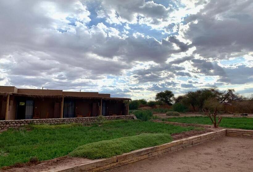 مبيت وإفطار Tiunur Lodge