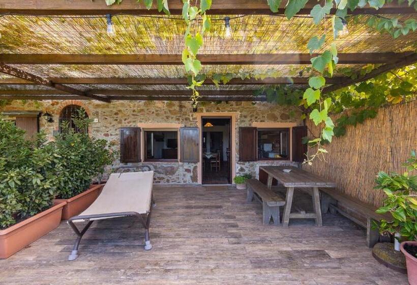 בית מלון כפרי Agriturismo Podere Binacco