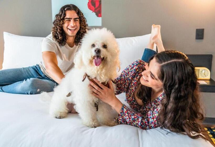 Отель Aloft Guadalajara Sur