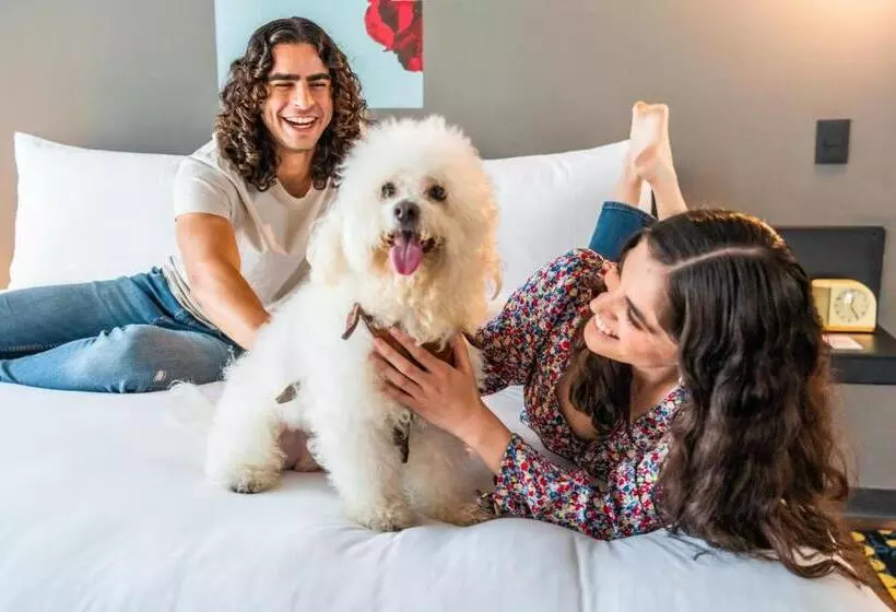 ホテル Aloft Guadalajara Sur