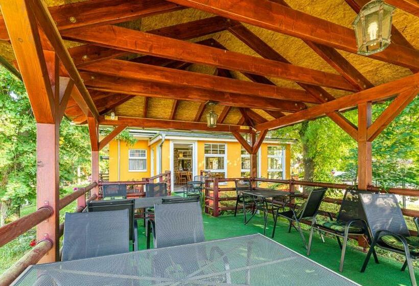 膳宿费 Sonnenhof/slavia