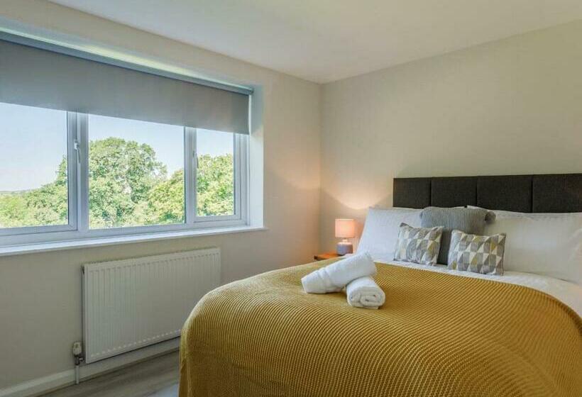 渡假胜地  Romansleigh Retreat