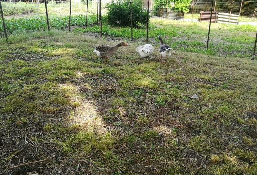 ベッドアンドブレックファースト Au Coeur De L Enclave