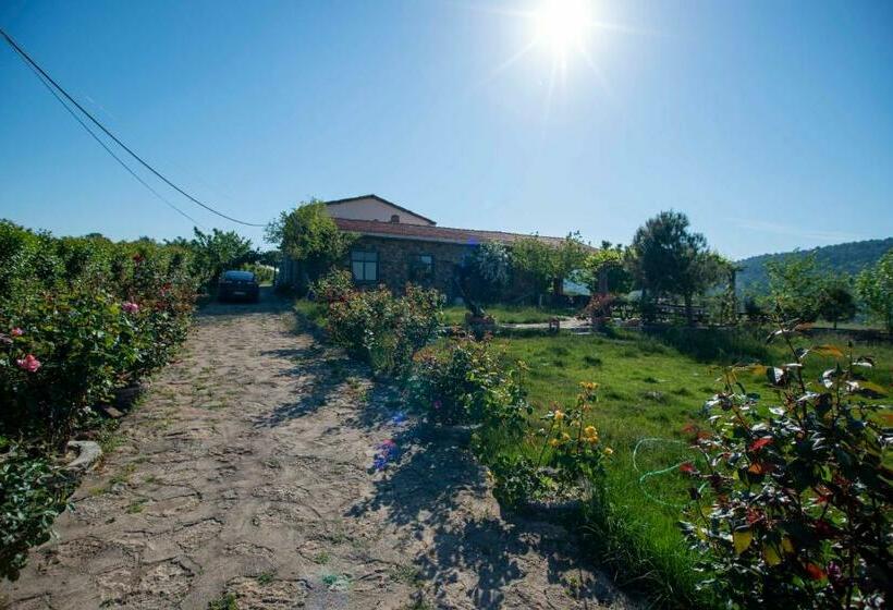 Dağbaşı Butik Otel