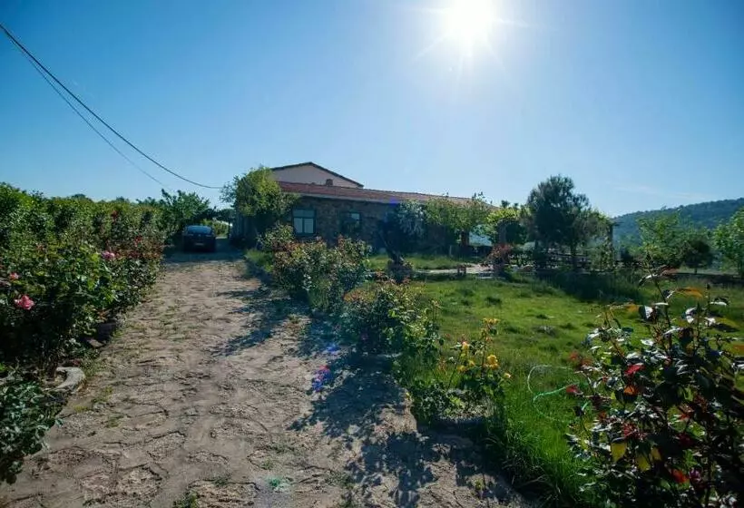 Dağbaşı Butik Otel