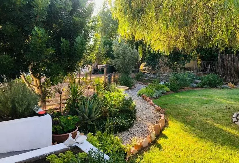 Majatalo 31 On Kloof