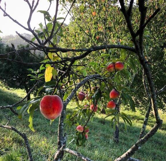 膳宿费 L Adret Du Bois