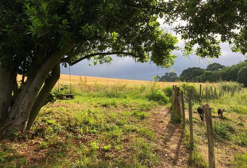 膳宿费 L Adret Du Bois