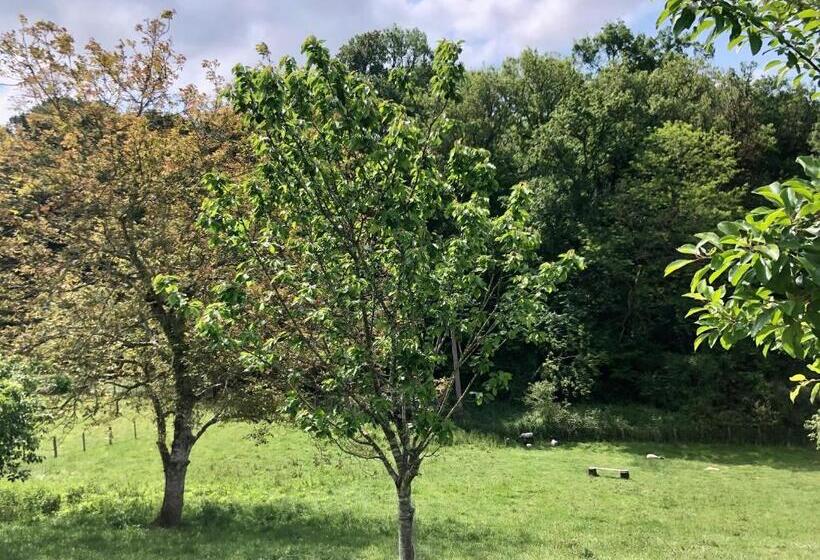 膳宿费 L Adret Du Bois