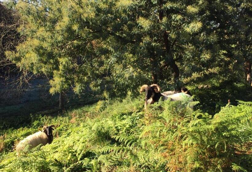 膳宿费 L Adret Du Bois