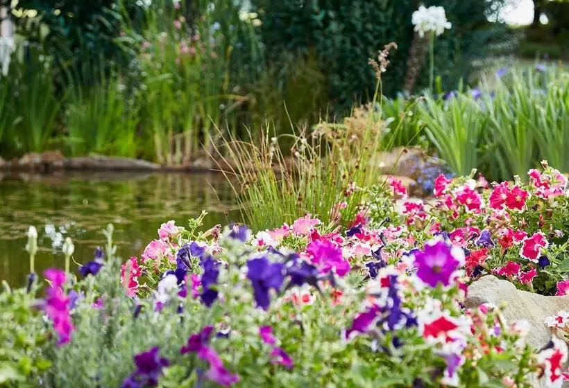 First Group Midlands Saddle And Trout