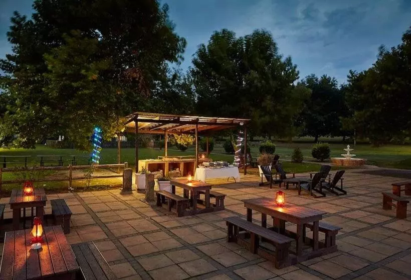 First Group Midlands Saddle And Trout