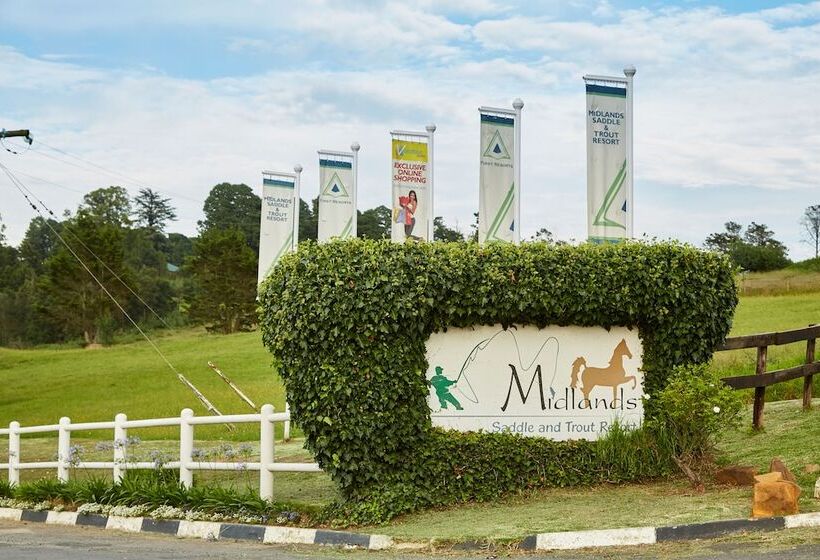 First Group Midlands Saddle And Trout