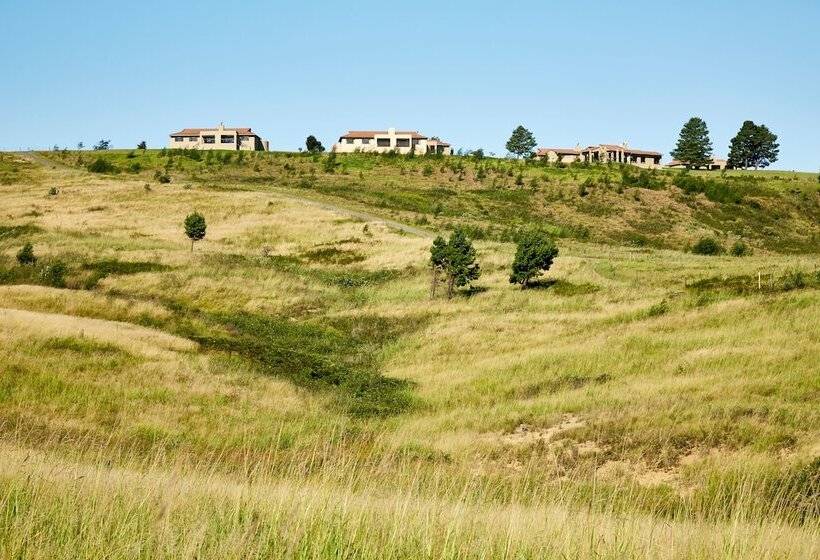 First Group Midlands Saddle And Trout