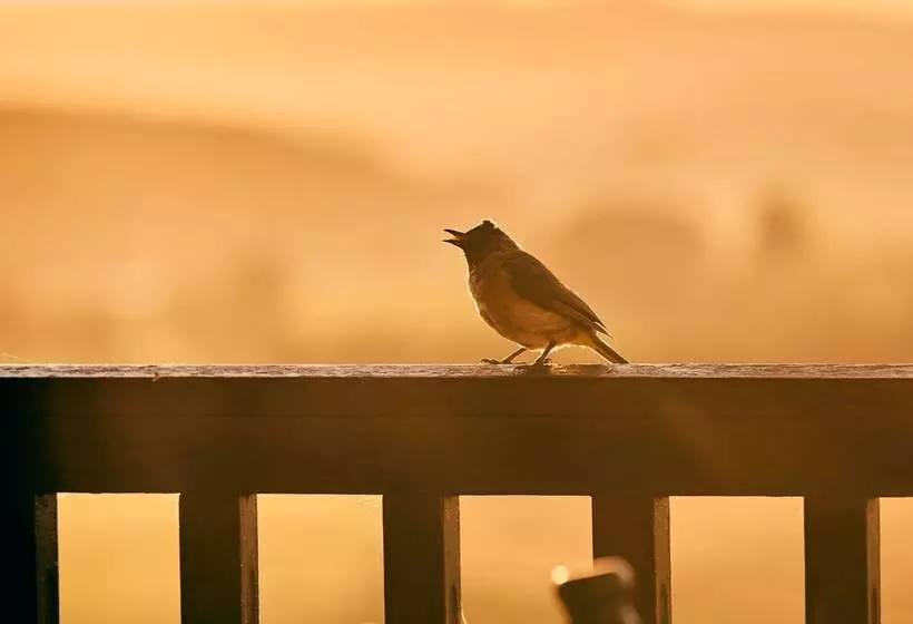 First Group Midlands Saddle And Trout
