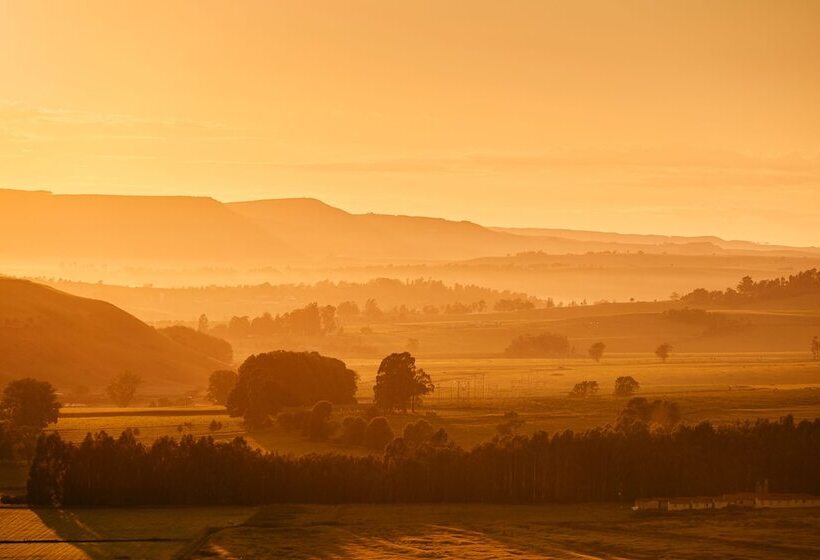 First Group Midlands Saddle And Trout