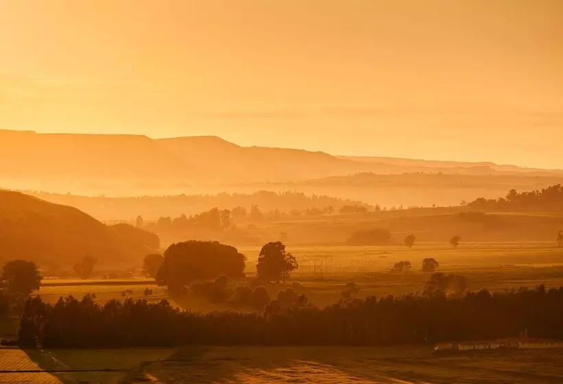 First Group Midlands Saddle And Trout