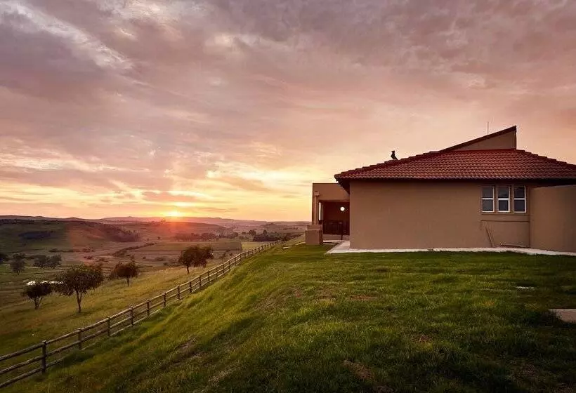 First Group Midlands Saddle And Trout