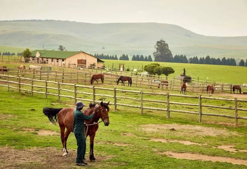 First Group Midlands Saddle And Trout