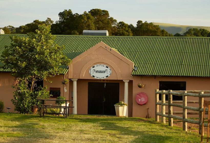 First Group Midlands Saddle And Trout