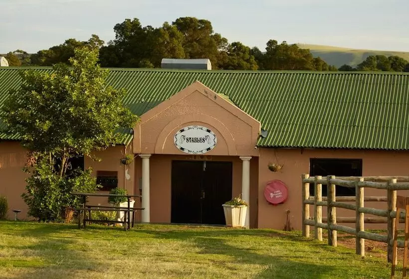 First Group Midlands Saddle And Trout