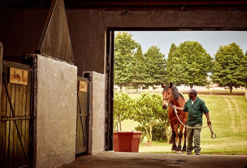 First Group Midlands Saddle And Trout
