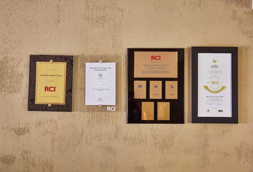 First Group Midlands Saddle And Trout