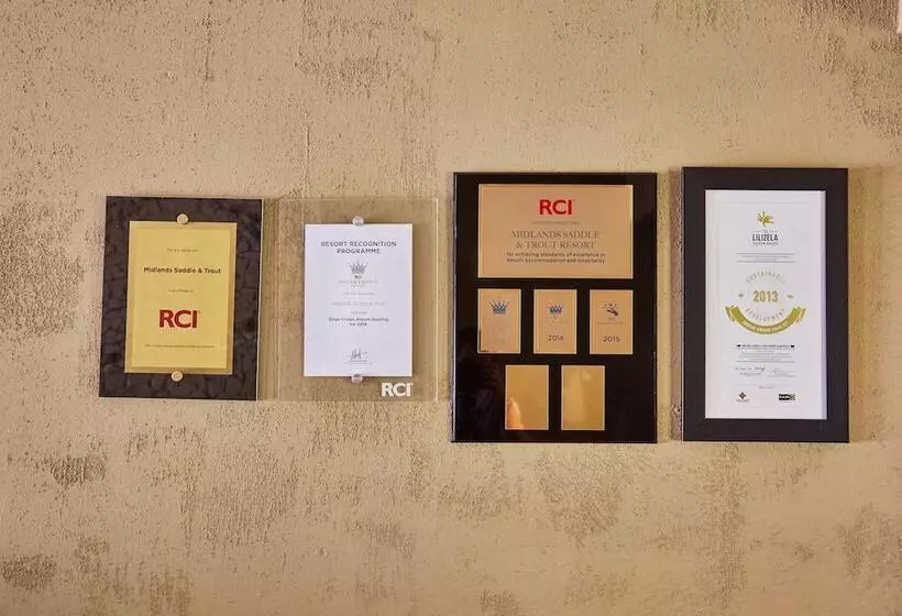 First Group Midlands Saddle And Trout