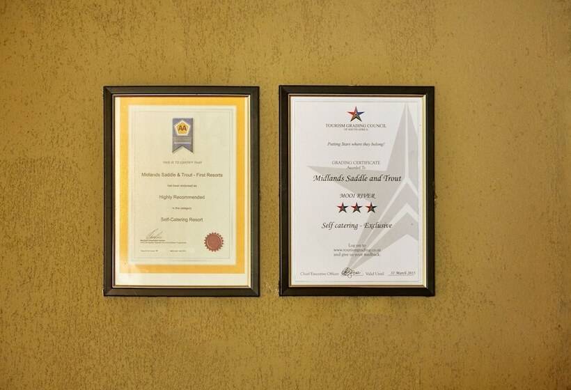 First Group Midlands Saddle And Trout