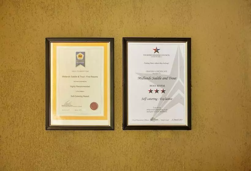 First Group Midlands Saddle And Trout