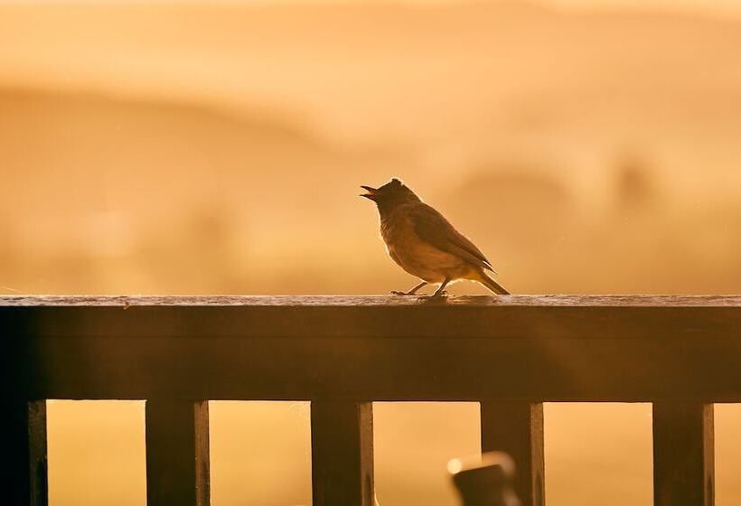 First Group Midlands Saddle And Trout