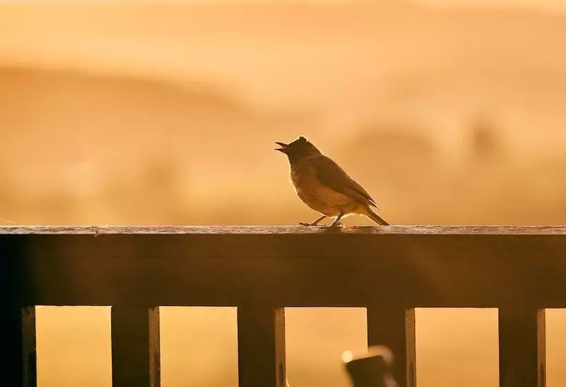 First Group Midlands Saddle And Trout