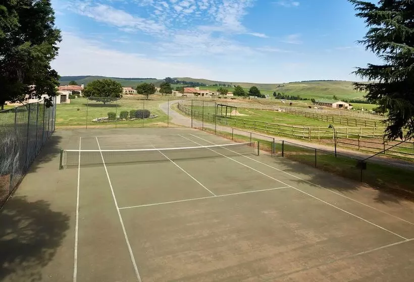 First Group Midlands Saddle And Trout