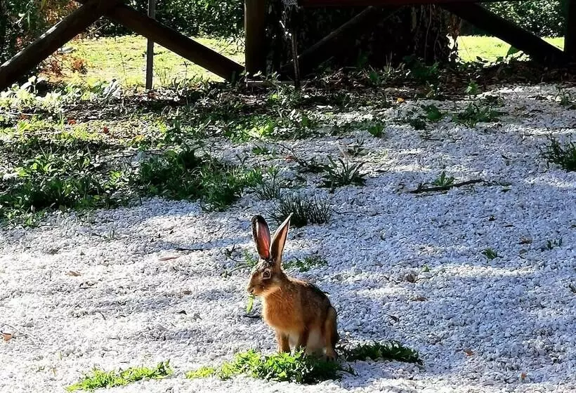 هتل Abadia Farneto