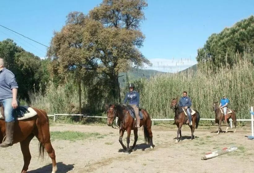 هتل Abadia Farneto