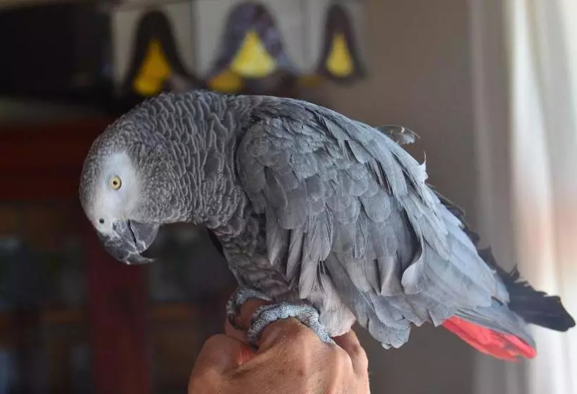 فندق Moonglow Guest House