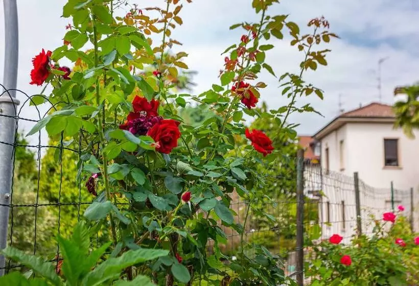 فندق Pasta Residence Italia Malpensa