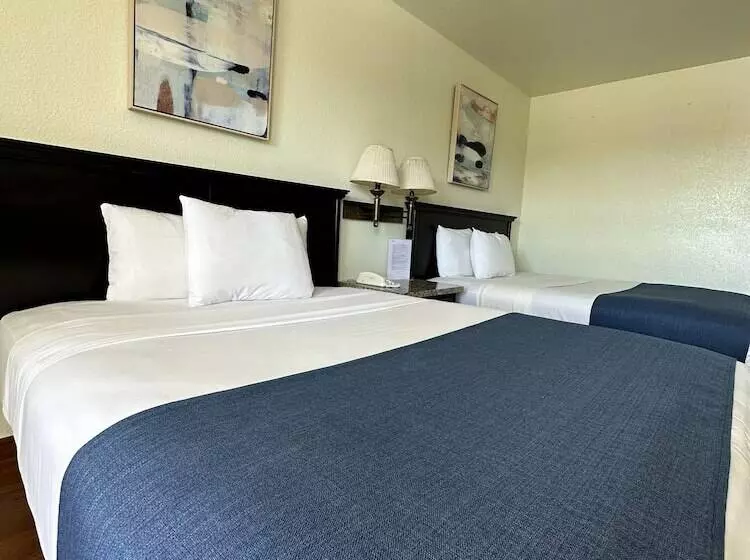 Hotelli Quinta San Carlos Inn