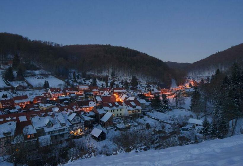 فندق & Spa Suiten Freiwerk