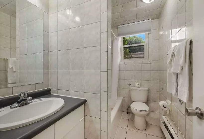 汽车旅馆  Knights Inn Burlington