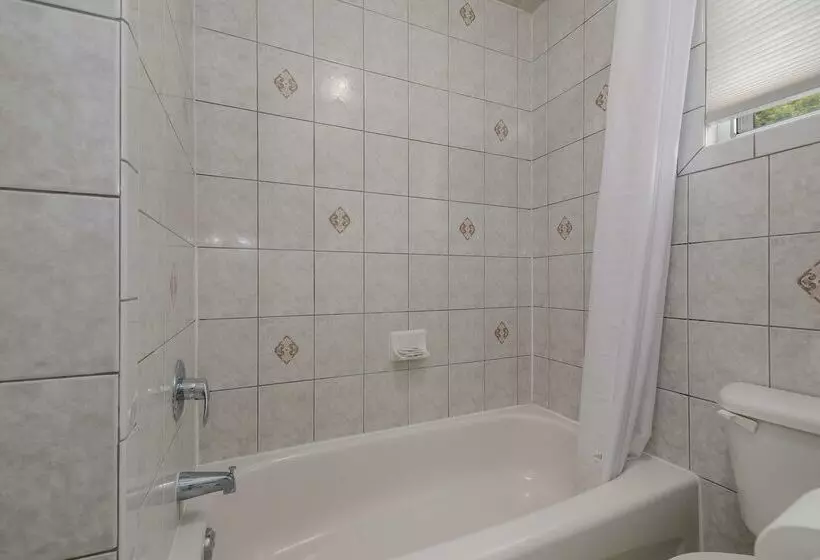 汽车旅馆  Knights Inn Burlington