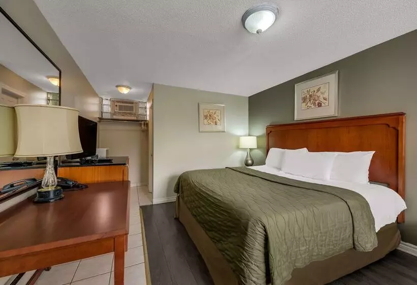 汽车旅馆  Knights Inn Burlington