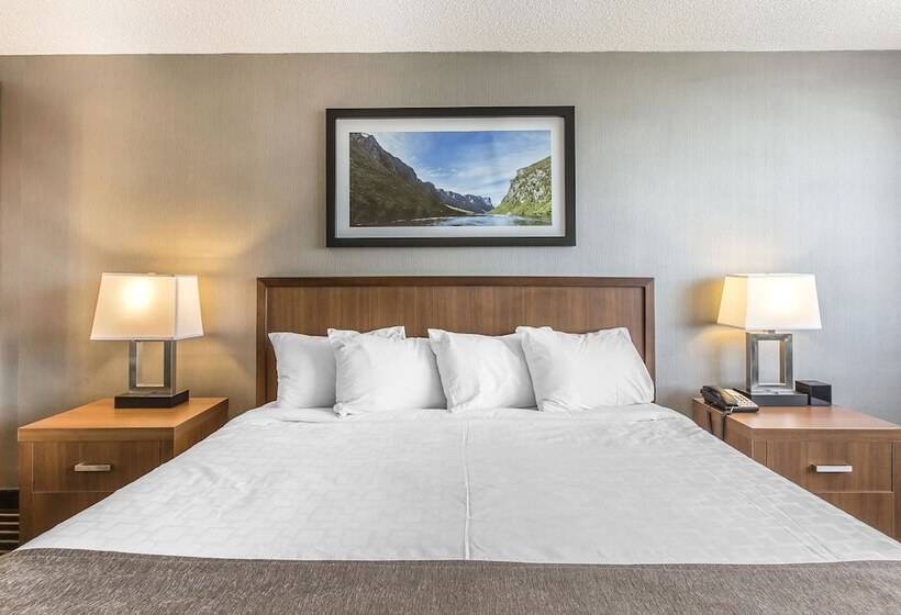 مُتل Quality Inn