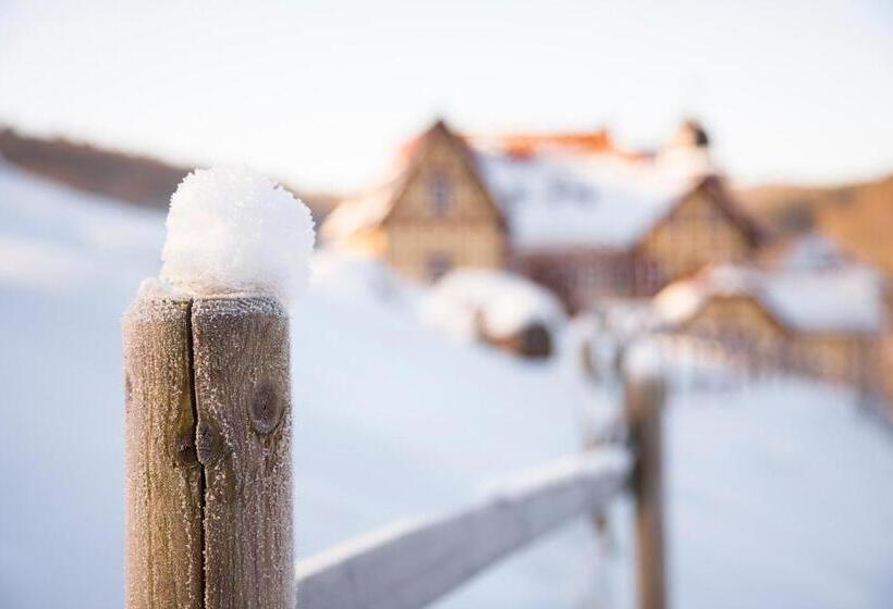 فندق & Spa Suiten Freiwerk